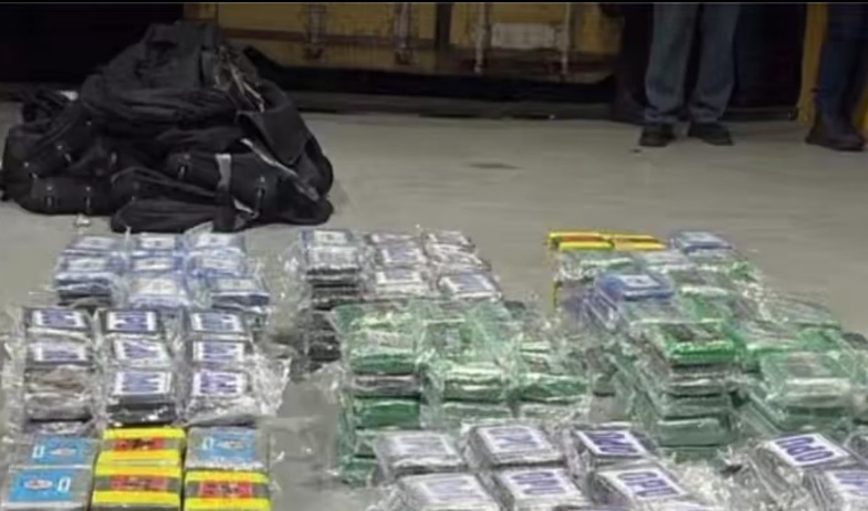 Interceptan contenedor con 583 paquetes de droga que iban rumbo a Rusia 
