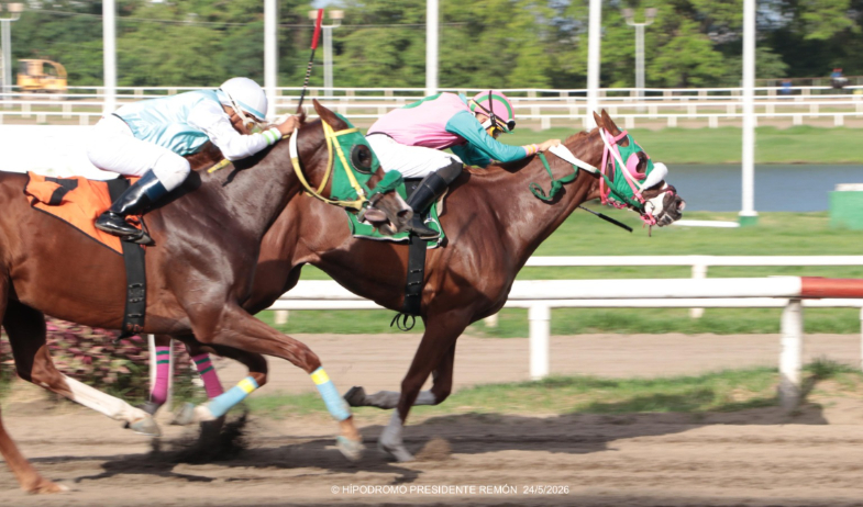 Siete carreras y un acumulado de más de B/.23 mil en el 5 y 6 marcan la jornada de hoy en el Hipódromo Presidente Remón 