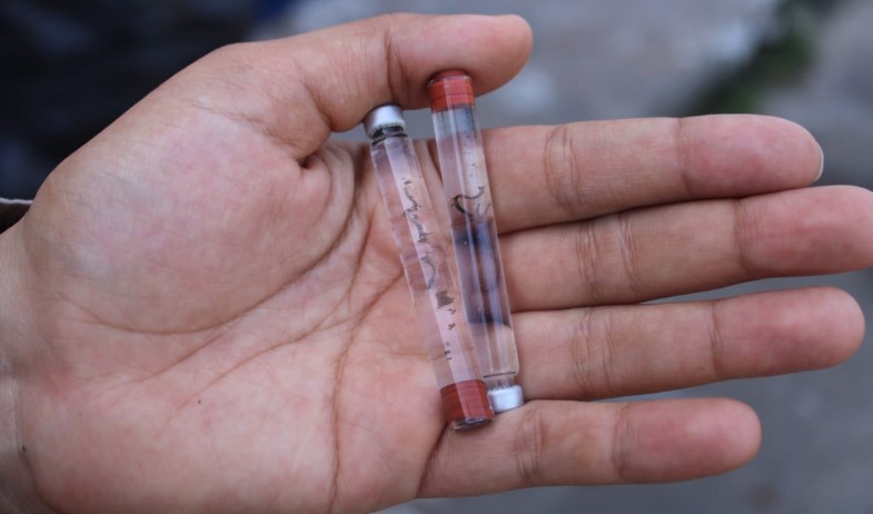 Minsa reporta 3,596 casos de dengue y 54 muertes por influenza en 2026 