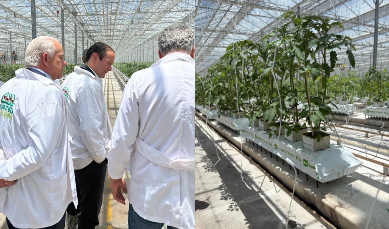 Ministros Linares y Martínez -Acha, visitan clúster agroindustrial como parte de la agenda de trabajo en México 