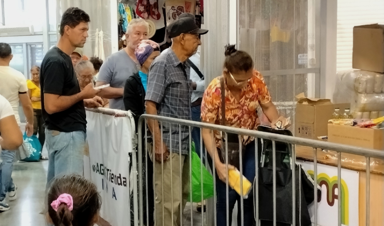 Anuncian compra de mil cerdos ante solicitud de porcicultores por sobreproducción 
