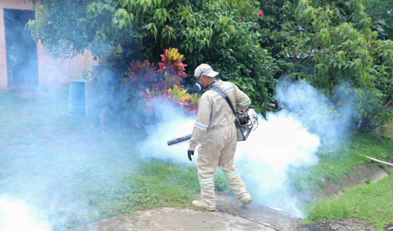 Minsa refuerza operativos contra el dengue en Tocumen y pide a la población eliminar criaderos del mosquito Aedes aegypti 