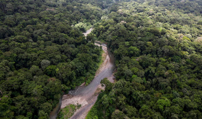 Oro en el Darién: el complejo sistema ilícito del Clan del Golfo que Panamá quiere romper 