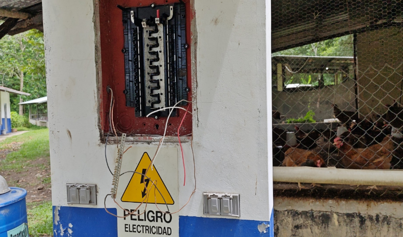 Hurtan gallinas y vandalizan la red eléctrica del C.E. Monte Oscuro; pérdidas superan los B/.50 mil 