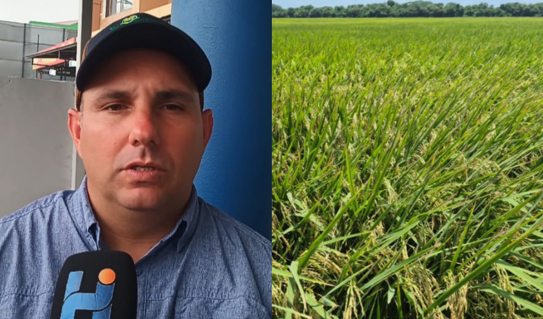 Sismo golpea las vías de transporte: productores de arroz enfrentan dificultades para llevar sus cosechas a los molinos 