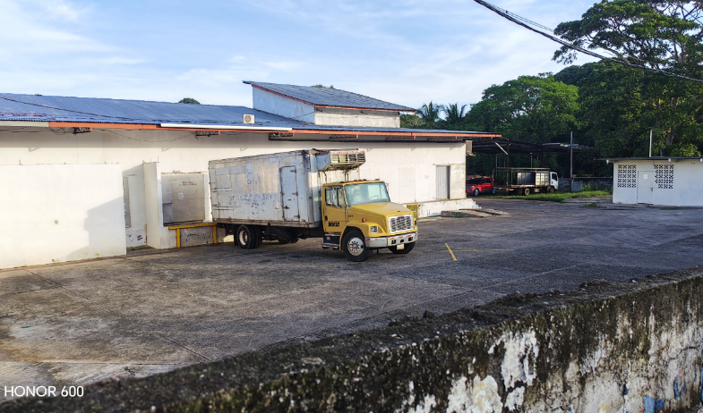Ganaderos en La Chorrera en alerta por paralización de matadero 