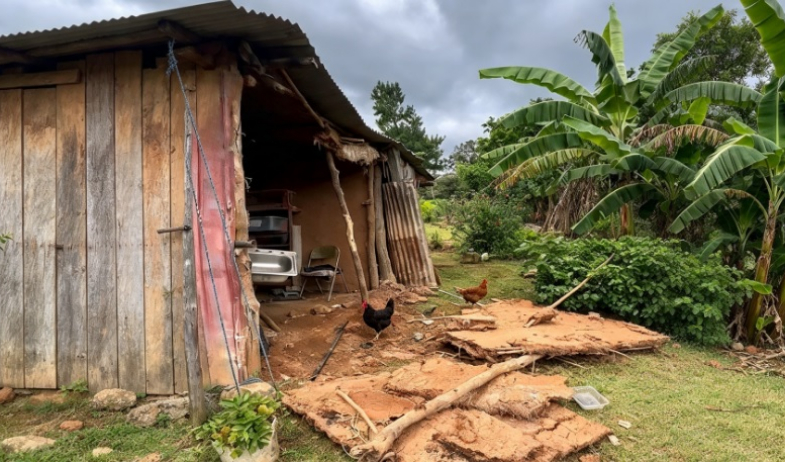 Terremoto golpea 15 comunidades de San Carlos y deja 70 familias damnificadas 