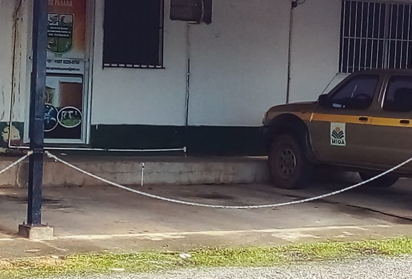 Foto: Cortesía