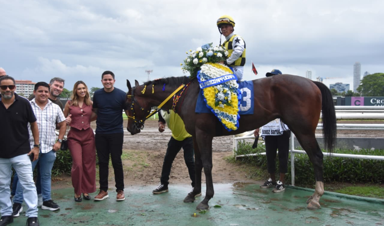 ganadores