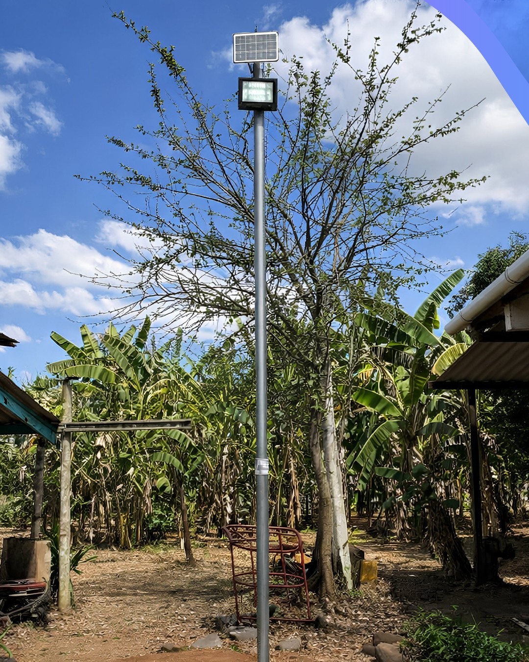 luz