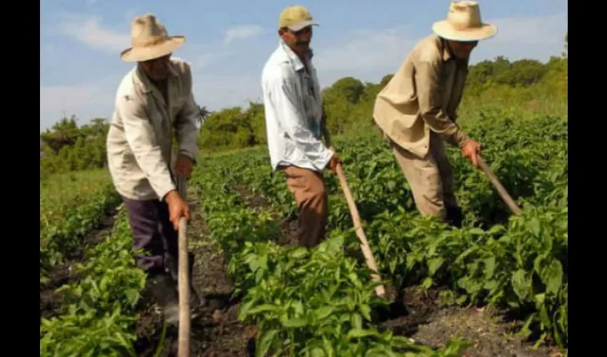 Tendrán una mejor capacitación.