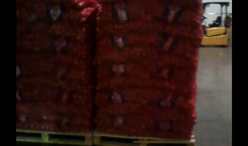 Cebolla 