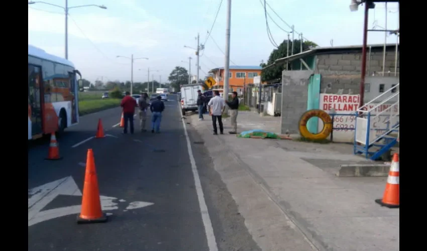 Imágenes de El Pantanal 