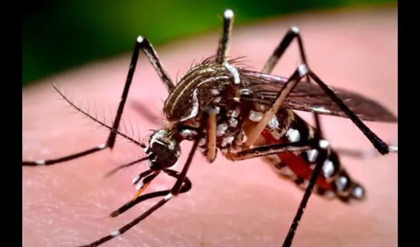 El virus ya salió de Guna Yala. Foto: Roberto Barrios