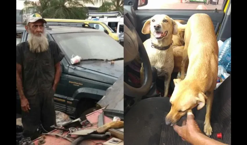 Perros de 'Bin Laden'