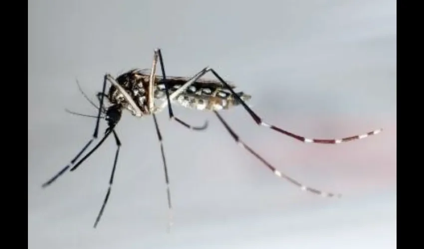 ZIKA