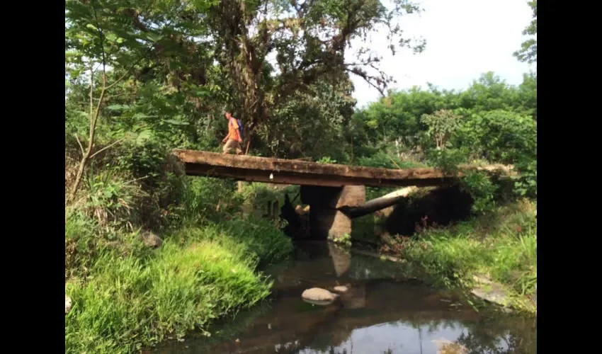 Puentes en La Chorrera y Capira