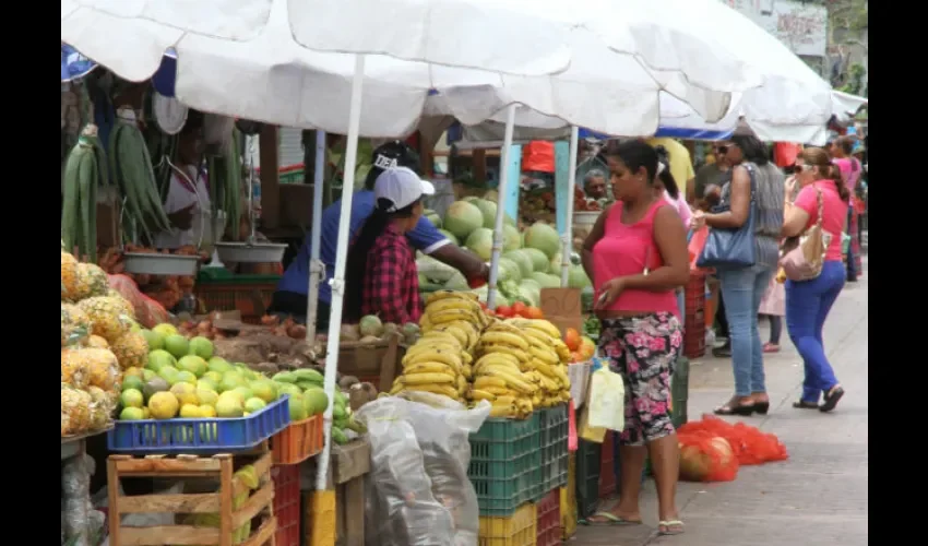 Alimentos 