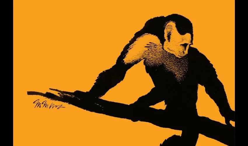 Mamíferos América del Sur que todavía se encuentran en Panamá y Costa Rica. 