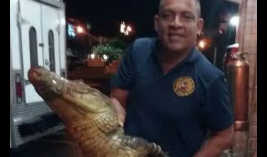 Lagarto
