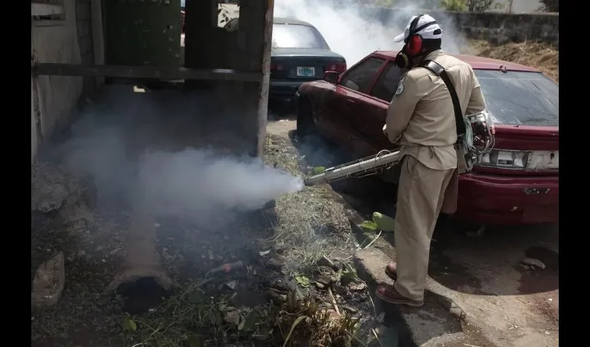 La fumigaciones se han mantenido en áreas contagiadas. 