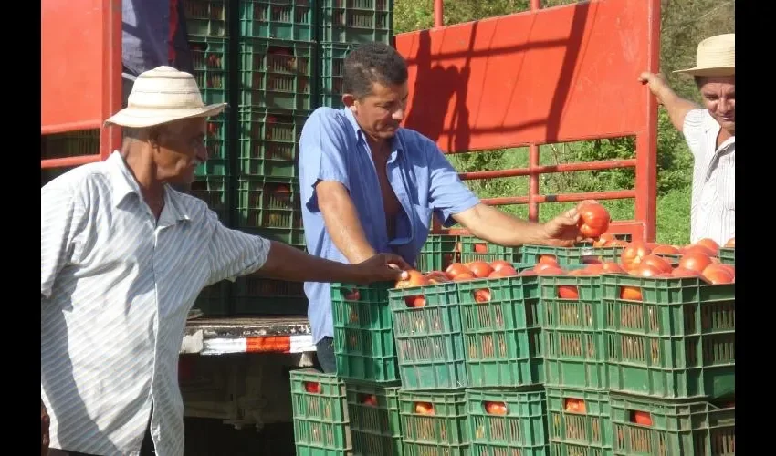 Productores apuestan al proyecto de enseñanza.