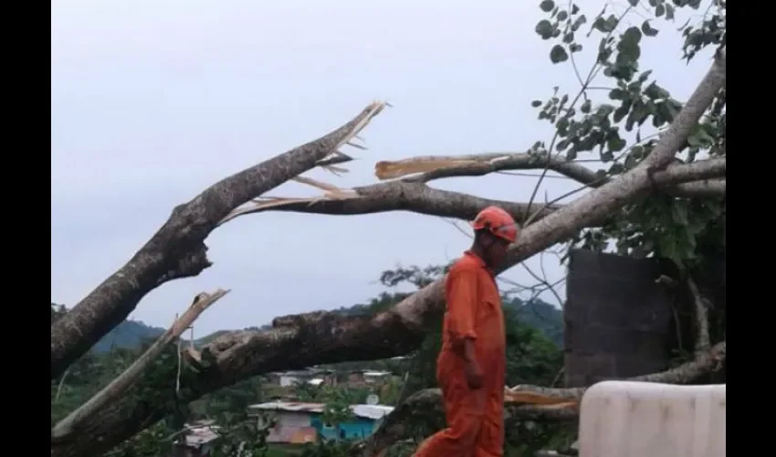 Sinaproc en Panamá 