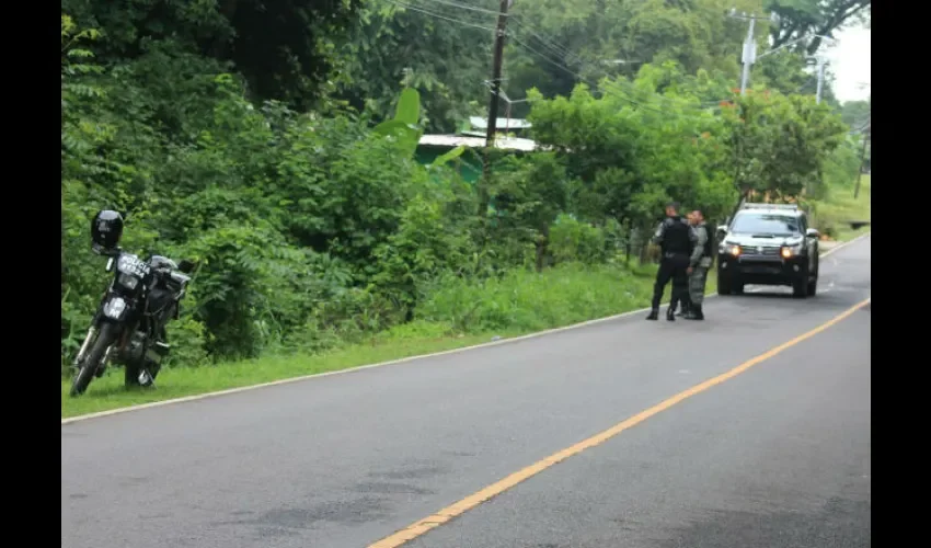 Atropello en Herrera 