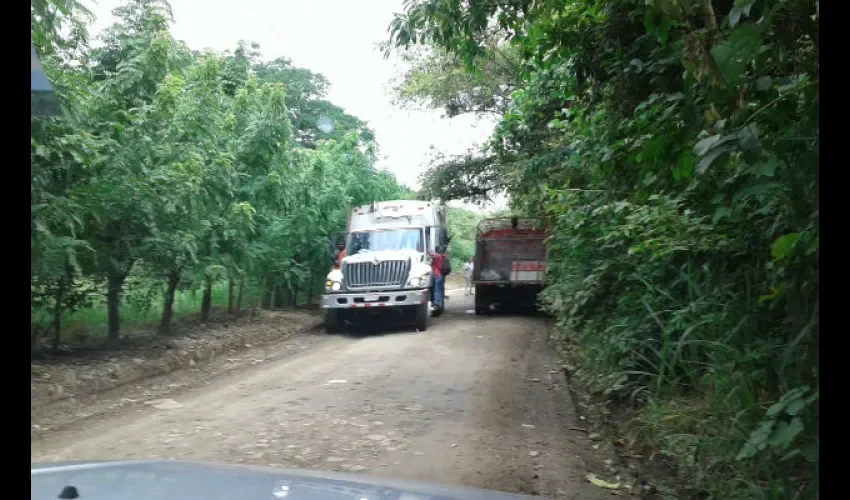 Camiones de basura 