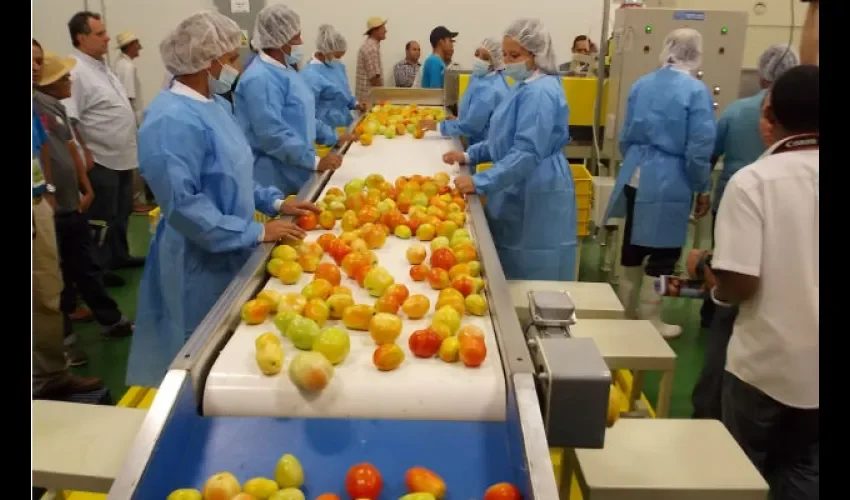 Alimentos Idiap 