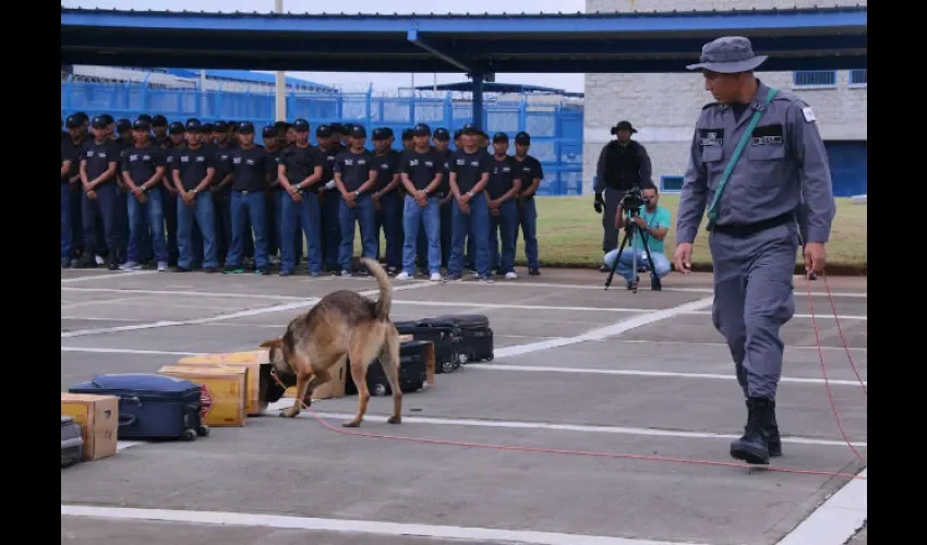 Escuadrón canino