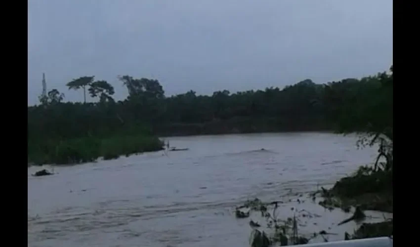 Río Palo Blanco
