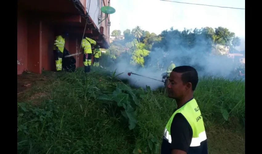 Limpieza y fumigación en Paraíso de San Miguelito 