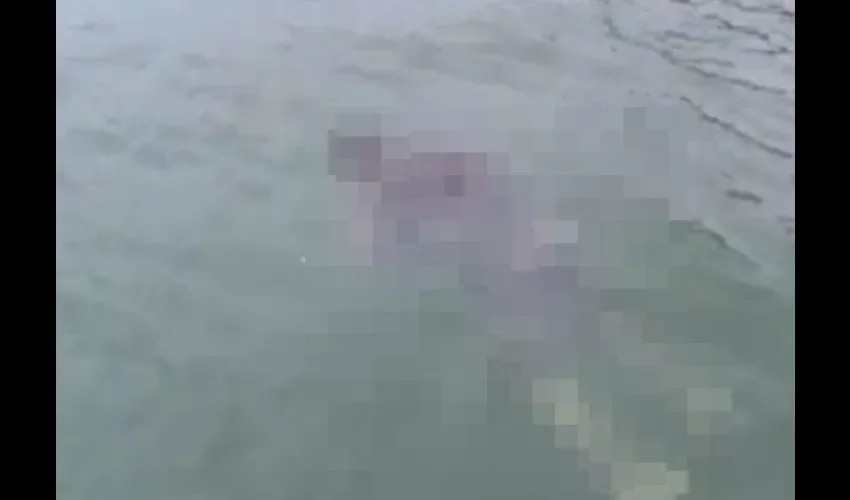 Asesinato en Bocas del Toro 
