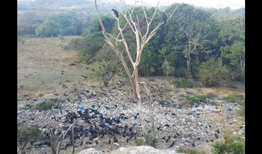 Vertedero clandestinos en Veraguas