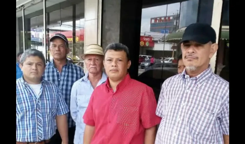 Panameñistas se inscriben al CD 