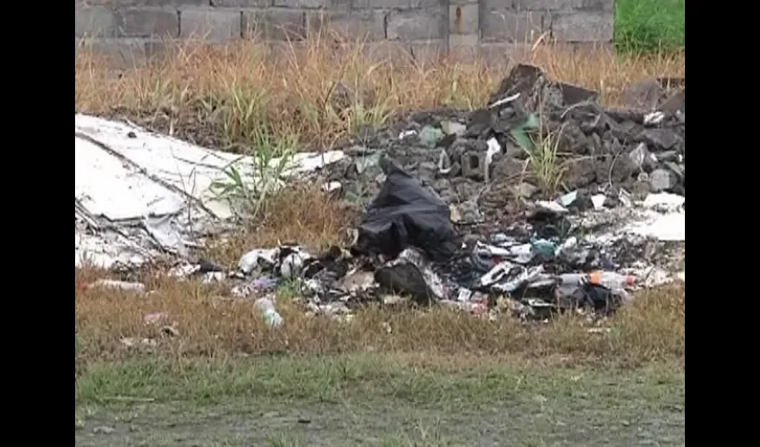 Dengue en Bocas del Toro 