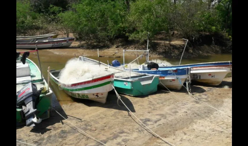 Pescadores en Río Hato 