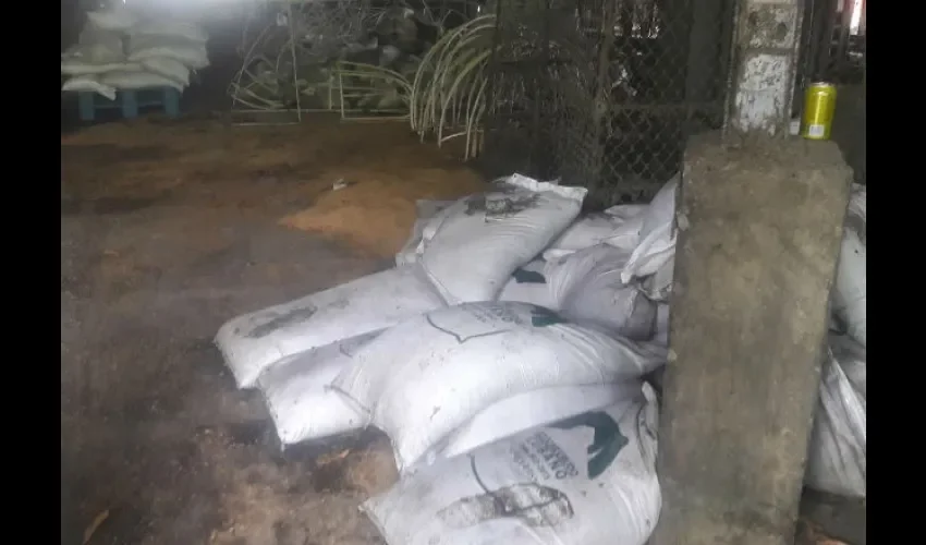 Azúcar cubana incautada en Panamá