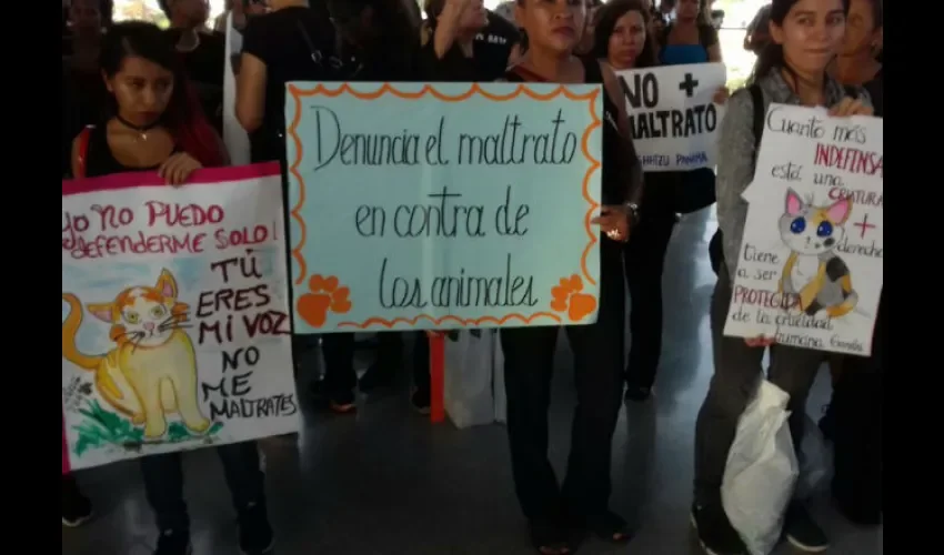 Protestan contra el maltrato animal 