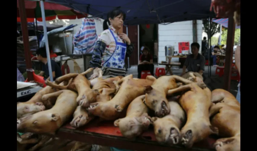 Festival del Carne de Perro