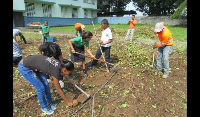 Huertos en la  Escuela Manuel Amador Guerrero de El Chorrillo 