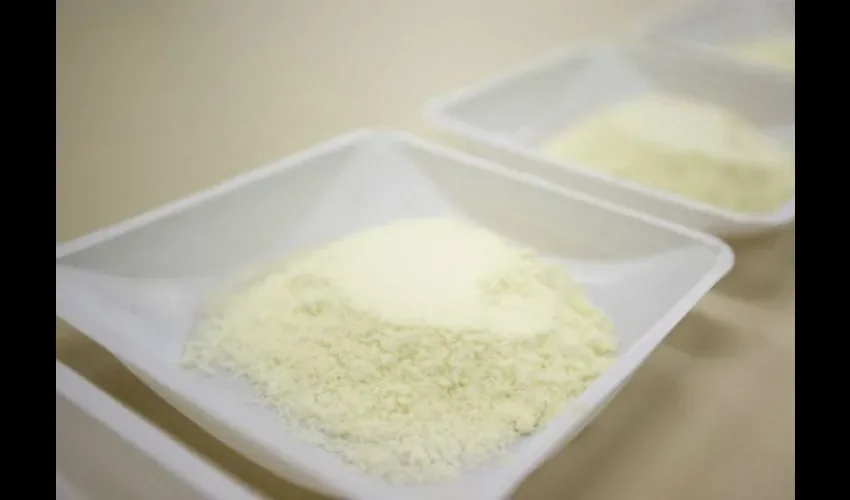 Leche en polvo