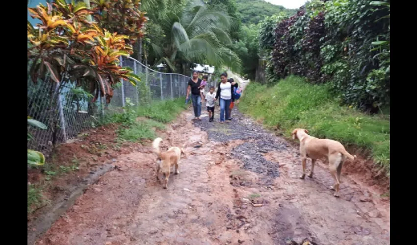 Calle de El Encanto Arriba en Penonomé no tiene luz 