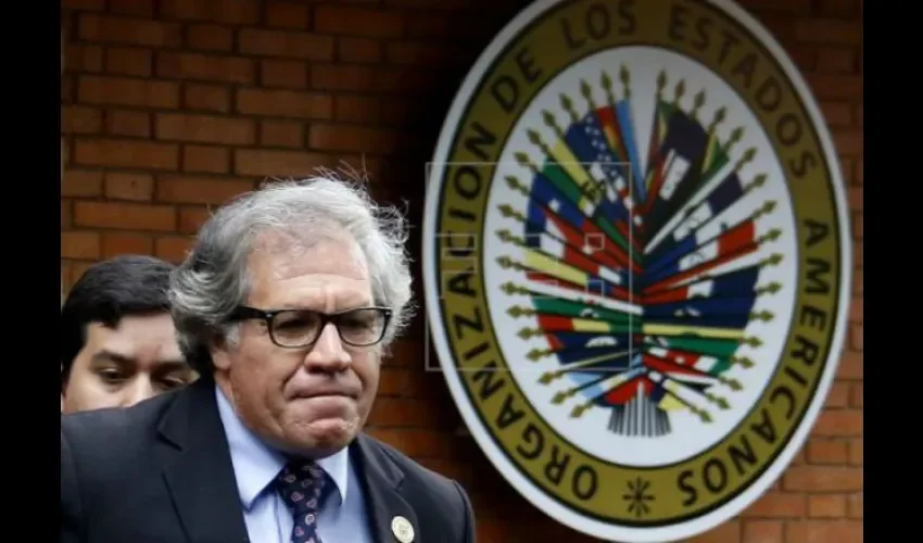 Organización de los Estados Americanos
