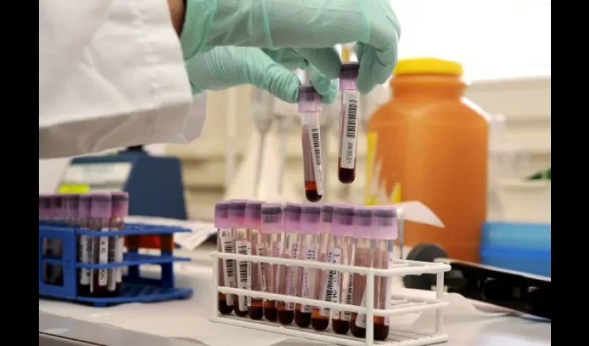 La investigación ha sido publicada en revistas como Experimental Hematology
