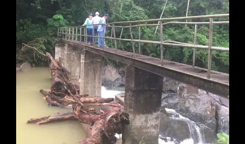 Guardia dijo que se conoció que vecinos del área estaban talando árboles río arriba