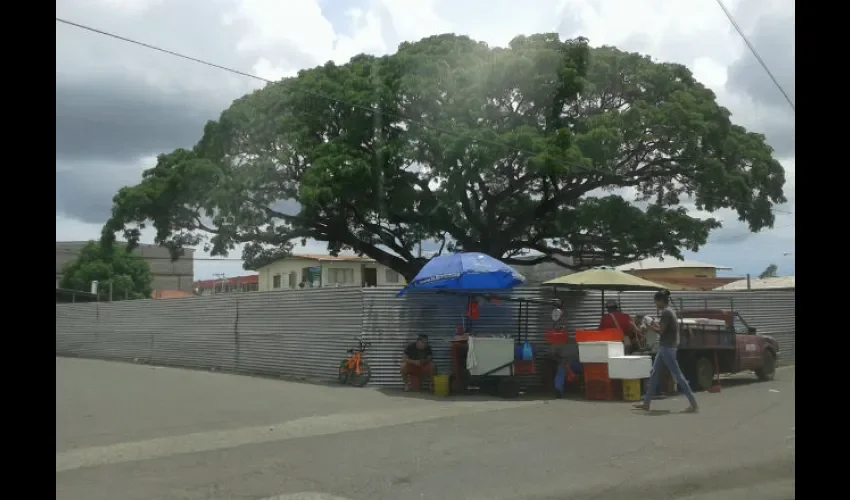 Desde tempranas horas de la mañana inicia la actividad comercial en el área del parque Centenario. 