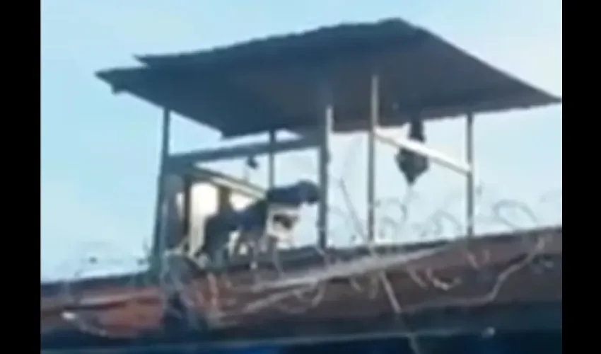 El policía que mantiene el rango de cabo, aparece en un video el cual fue grabado el miércoles 13 de septiembre de 2017.