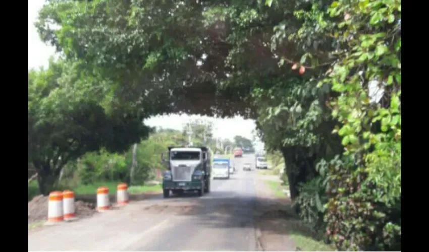  Tras las lluvias registradas durante el último fin de semana en el norte de Veraguas varias ramas y árboles enteros cayeron en la vía.